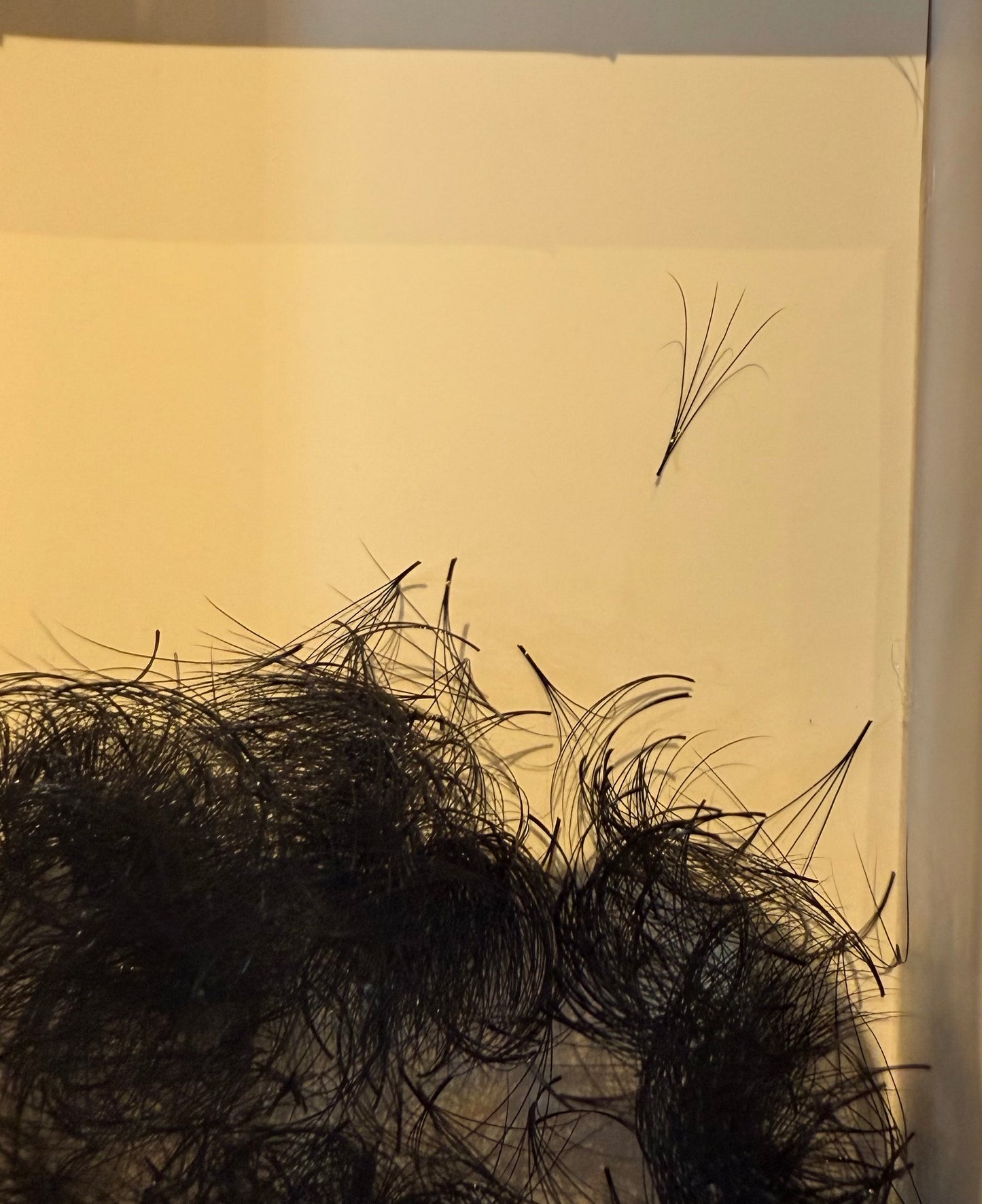 4D 0.07 Volume handmade 1000fan